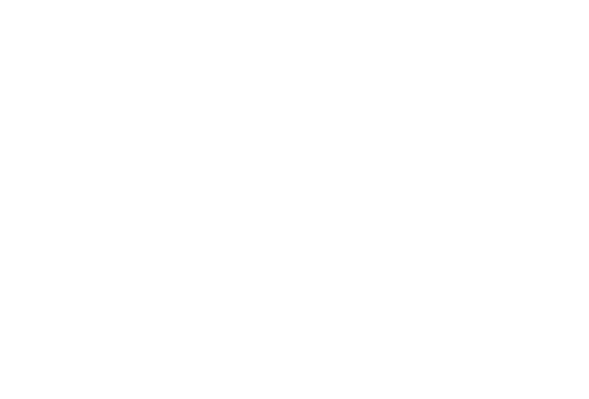 Logo SARL PALMIE - Installateur RGE panneaux solaires LA LOUBIERE