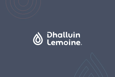 Logo DHALLUIN-LEMOINE - Installateur RGE panneaux solaires TOULOUSE
