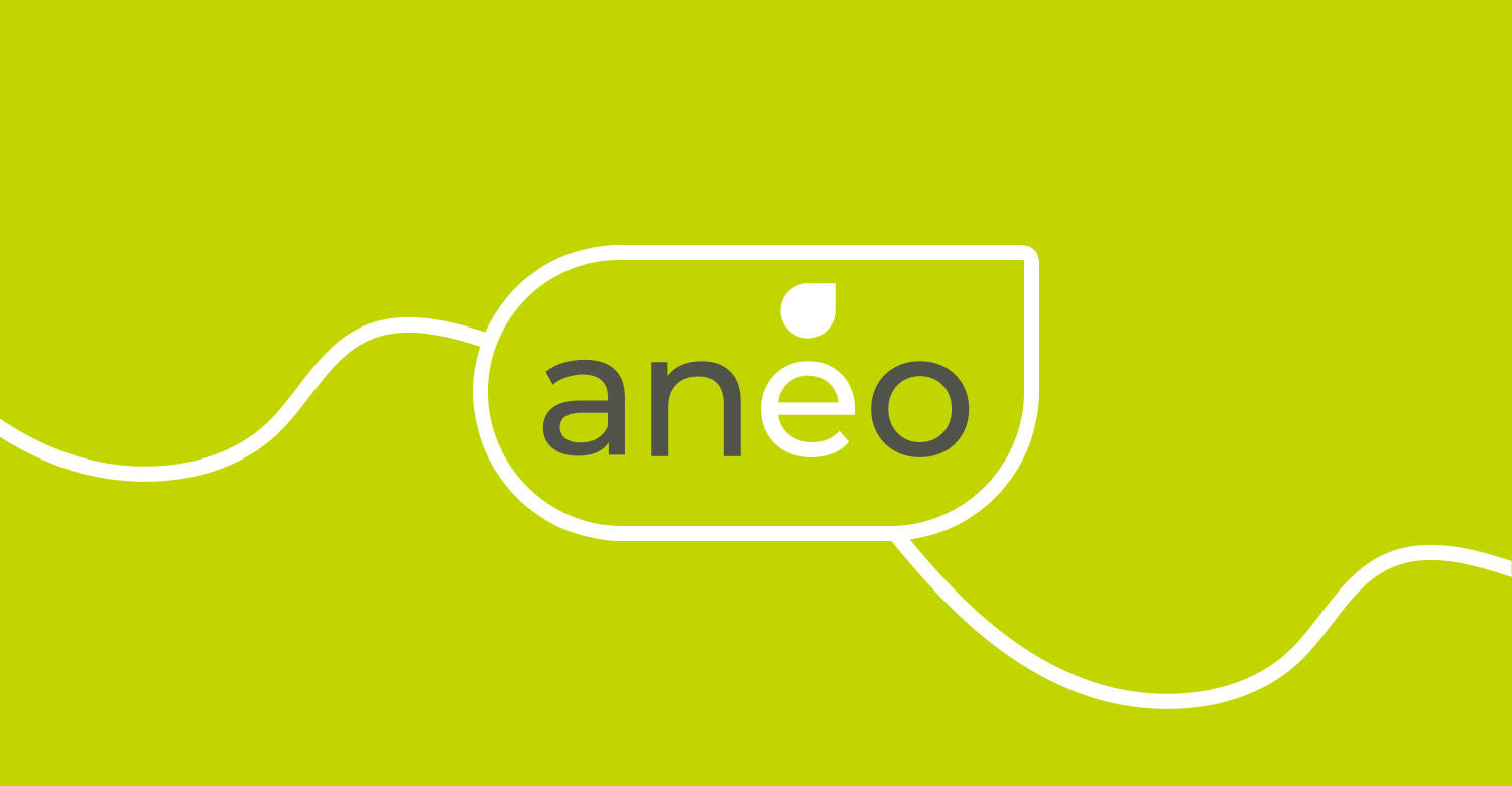 Logo ANEO - Installateur RGE panneaux solaires MUDAISON
