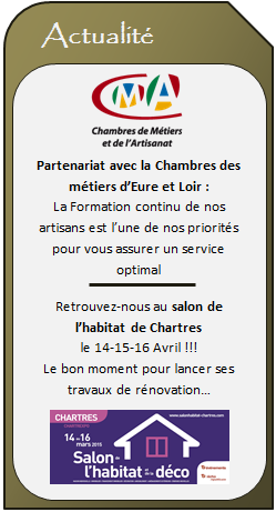 Logo HOME RENOV - Installateur RGE panneaux solaires CHAMPHOL